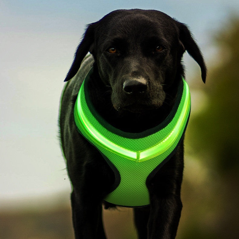 LED Luminous Dog Harness Led USB Charging Dog Chest Strap Vest Pet Safety Reflective Harness Pet Vest For Puppy Large Dog Pet Products Cats Vest Harness