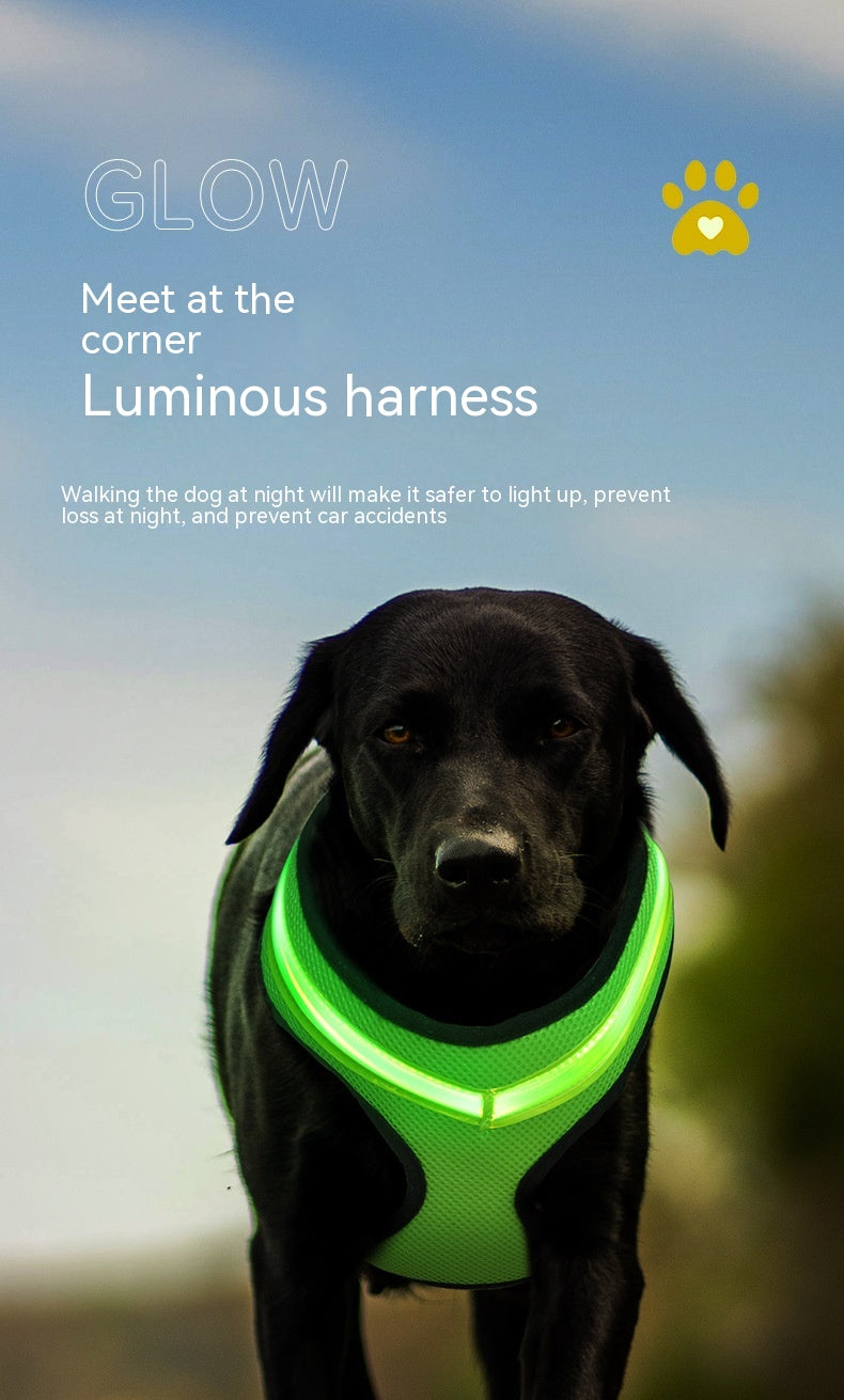 LED Luminous Dog Harness Led USB Charging Dog Chest Strap Vest Pet Safety Reflective Harness Pet Vest For Puppy Large Dog Pet Products Cats Vest Harness